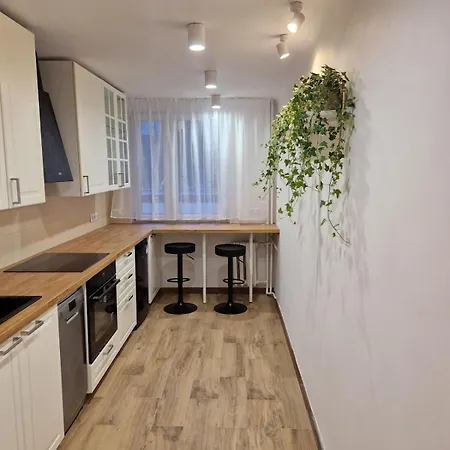 公寓 Chmielna Central 36 M2 *